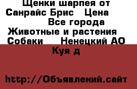 Щенки шарпея от Санрайс Брис › Цена ­ 30 000 - Все города Животные и растения » Собаки   . Ненецкий АО,Куя д.